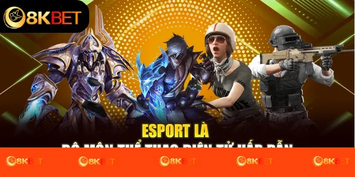 Esport là bộ môn thể thao điện tử hấp dẫn