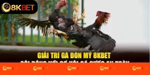 Giải Trí Gà Đòn Mỹ 8kbet Sôi Động Với Cơ Hội Cá Cược An Toàn